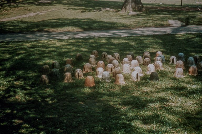 Dark Huts, 1973
