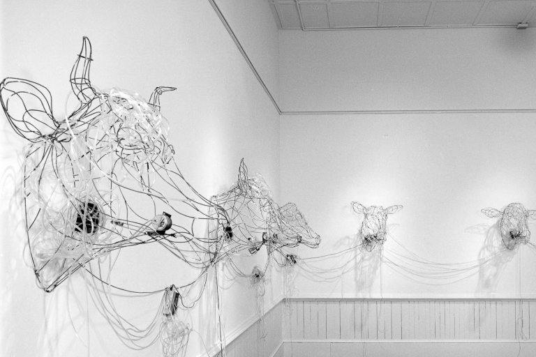 Absolute Cow, 1988,  installation, talking cow sculptures fabricated by Karin Giusti and Randy Huff. Audio interviews of Vermont farmers emanating from cow heads discussing the problems they faced as development and land restrictions threatened their livelihoods by Barbara Zucker
