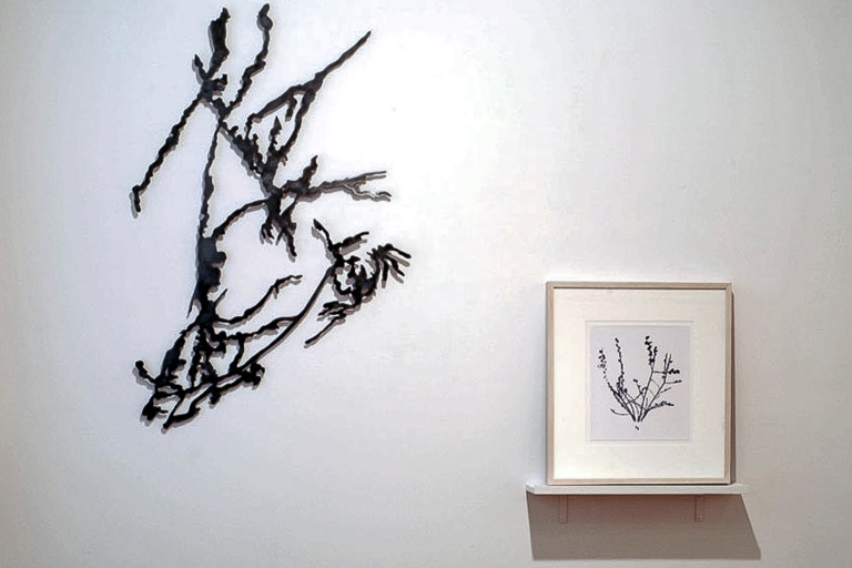 Lilian (Floral), 2001 and Pussy Willow, 2003