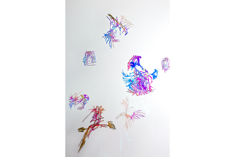 Homage to Linda and Lucy: My Luminaries, 1998-2016, detail