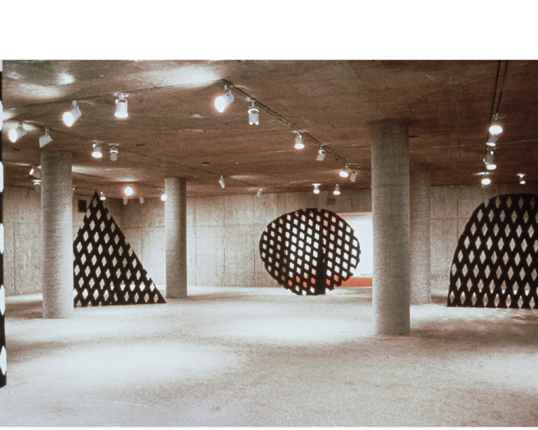 Triangle, Ellipse, and the Monster; Fine Arts Center University Museum of Contemporary Art; U. Mass. Amherst, 1982